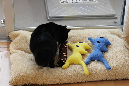どれにしようかな