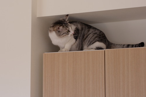 一番乗り
