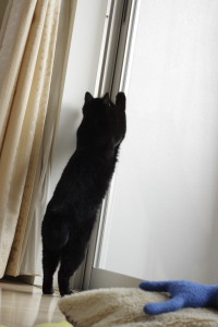 今行くの!