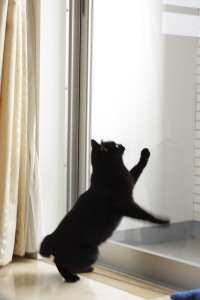 行っちゃダメなの!