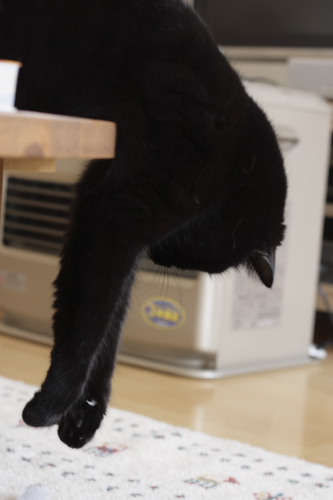 もうちょっとなの!