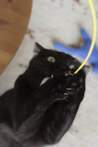 はががが・・・