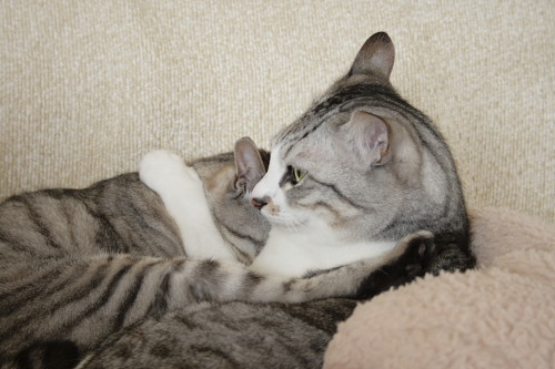 やだやだやだぁ!