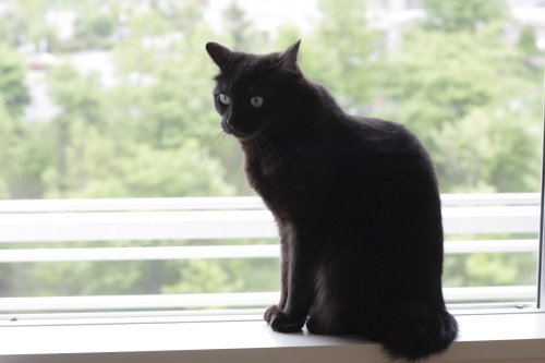 風が気持ちいいんだよ