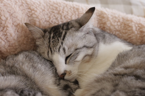 ちょっと小さいかな