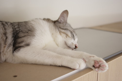 ZZZzzz