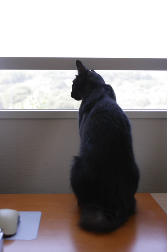 何だろう