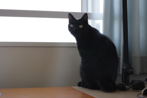 ここがいいの!