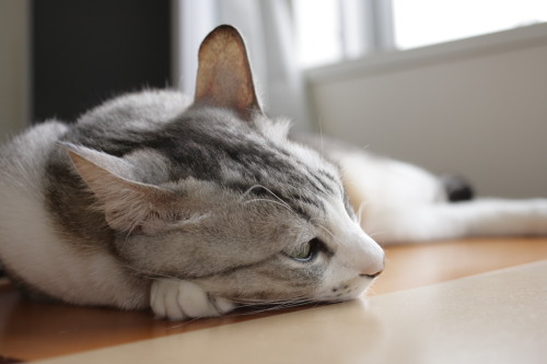ふぅ