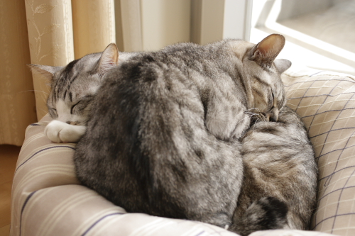 ZZZ