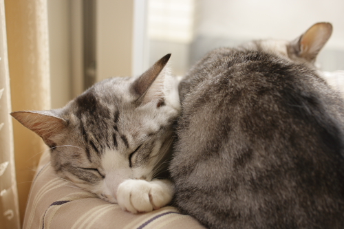 ZZZ