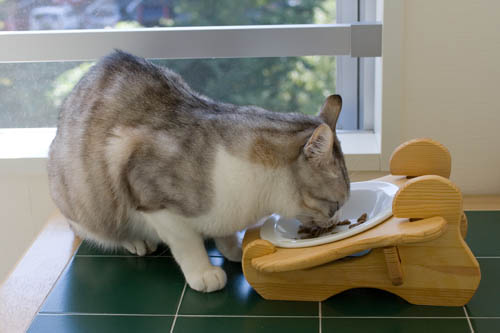 いただきます♪ お食事中のお坊ちゃん