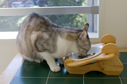 食べやすいよね 食べるお坊ちゃん