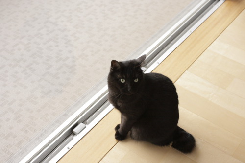 まだまだこれからじゃないの? 遊び足りない小僧