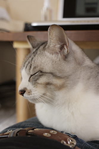 労をねぎらってるんだよ 移動してくるお坊ちゃん