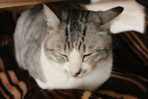 確かにさっきはちょっと違った 再登場のお坊ちゃん
