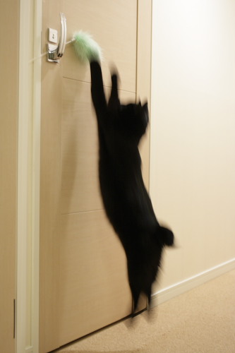 よいしょっ! 飛びつく小娘2