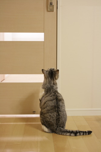 一人じゃ危ないからね 出遅れたお坊ちゃん