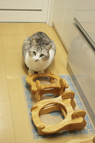 もう朝だから! ご飯を催促するお坊ちゃん