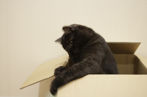うぉ~!!!! 止まらない小僧