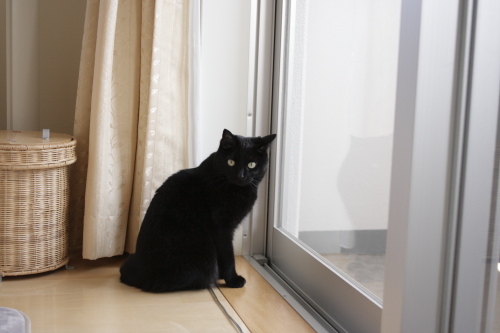 ちょっと違うの 一気に興味を失う小娘