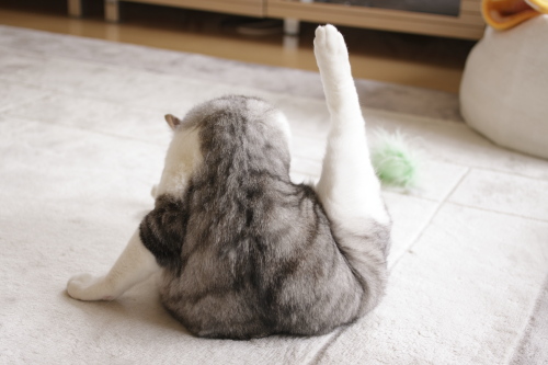 お坊ちゃん