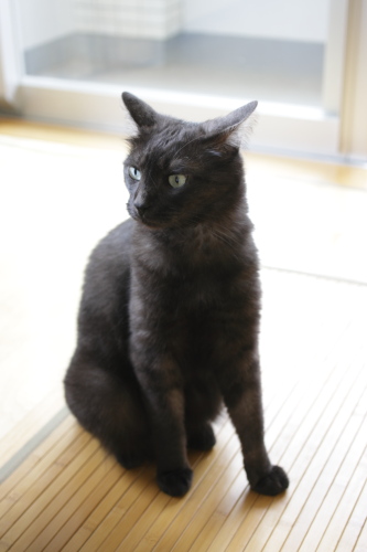 ちょっとショック 驚く小僧