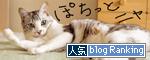 人気blogランキングへ