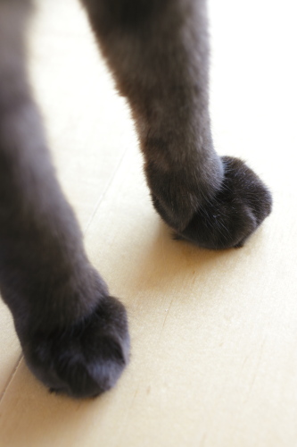また無駄なことしてる 小僧のお手手