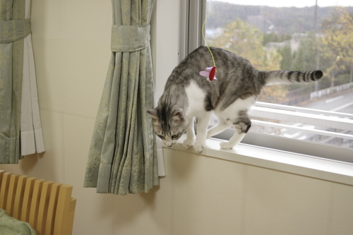 簡単でしょ? 説明するお坊ちゃん