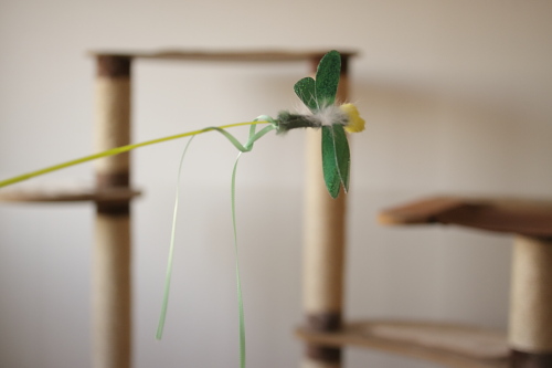 遊ぶ前はこんなです 緑の虫さん
