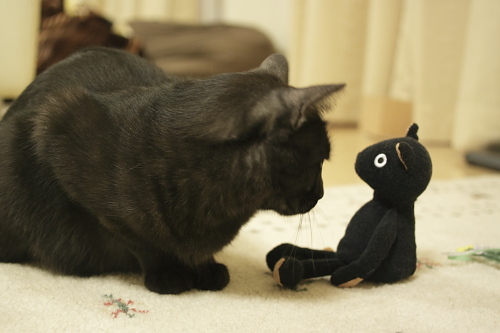 プレゼントは無し 黒猫サンタに詰め寄る小僧