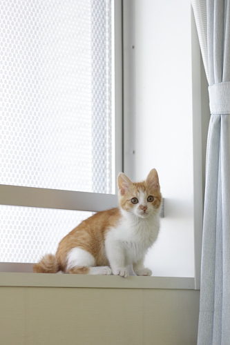 虫さん、やっつけましたか? 澪っち