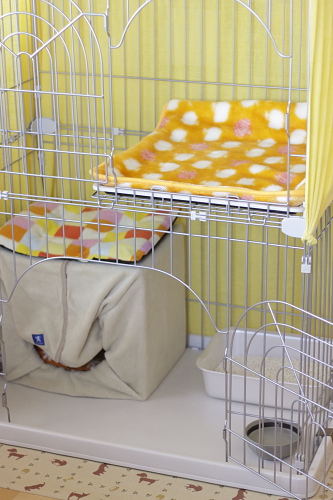新装開店 茶系兄弟ケージ
