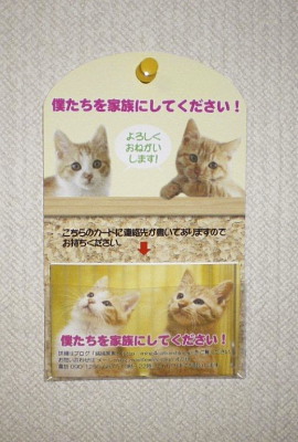 カード入れ(案) カード入れ