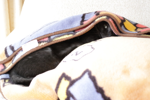 風邪引いちゃう