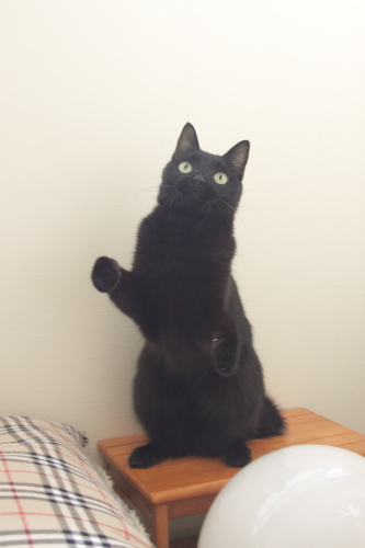 なんだかタポタポだったの