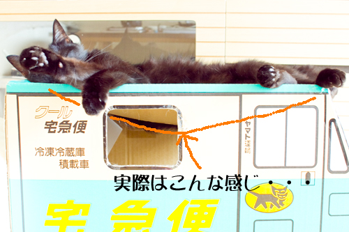 明るくすると見えてくる