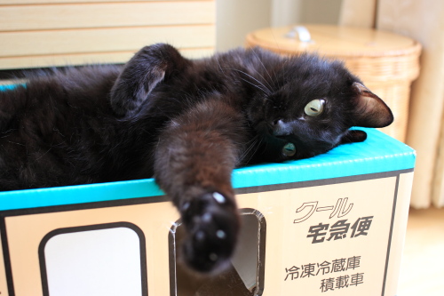 確かにちょっと違うの