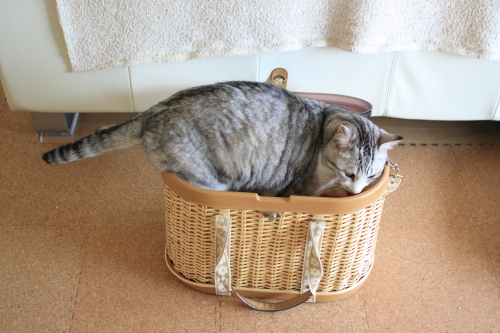 こんなの余裕