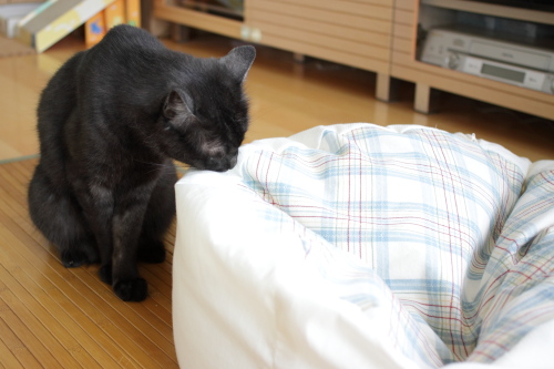 毒ガスが仕込んであるとか