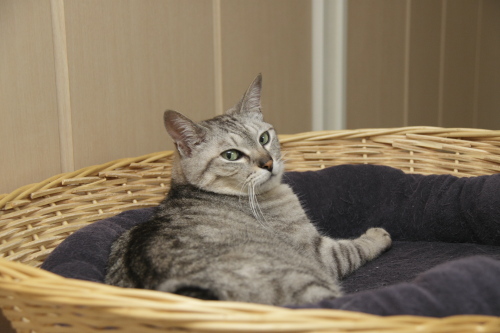 重たすぎ