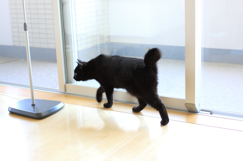 少し待ってみるの