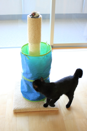 これは何なの?