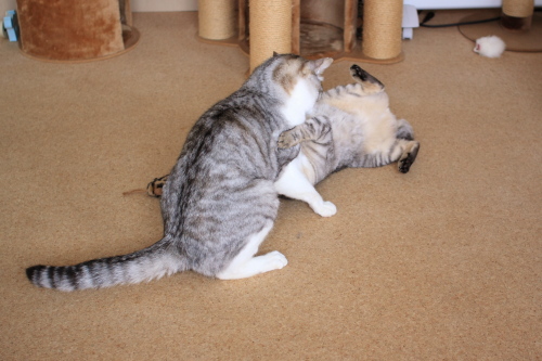 投げ飛ばし