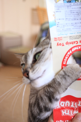 ひしっ!
