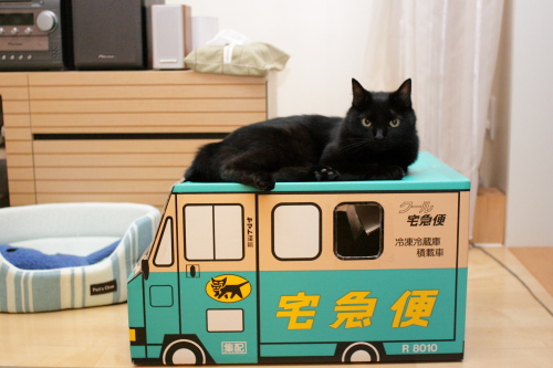 これじゃぁわかりづらいと思うの