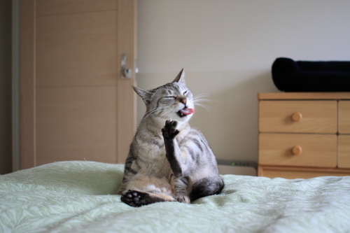 ぺっ