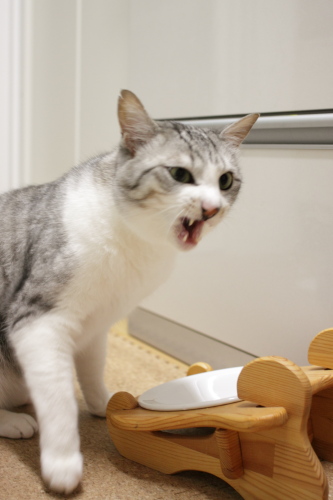 けっ