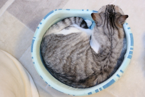ぴったりサイズだよ